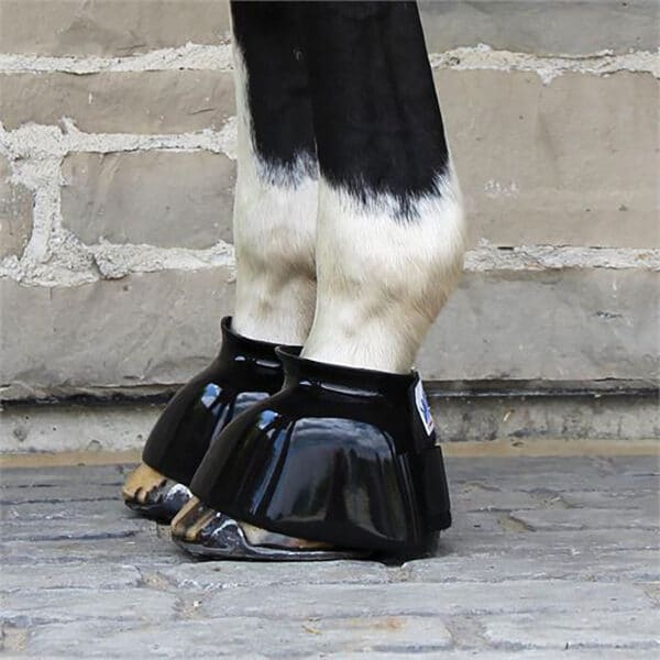 Black Bell Boots on horse.