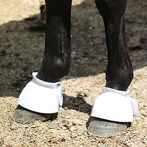 White Bell Boots on Horse.