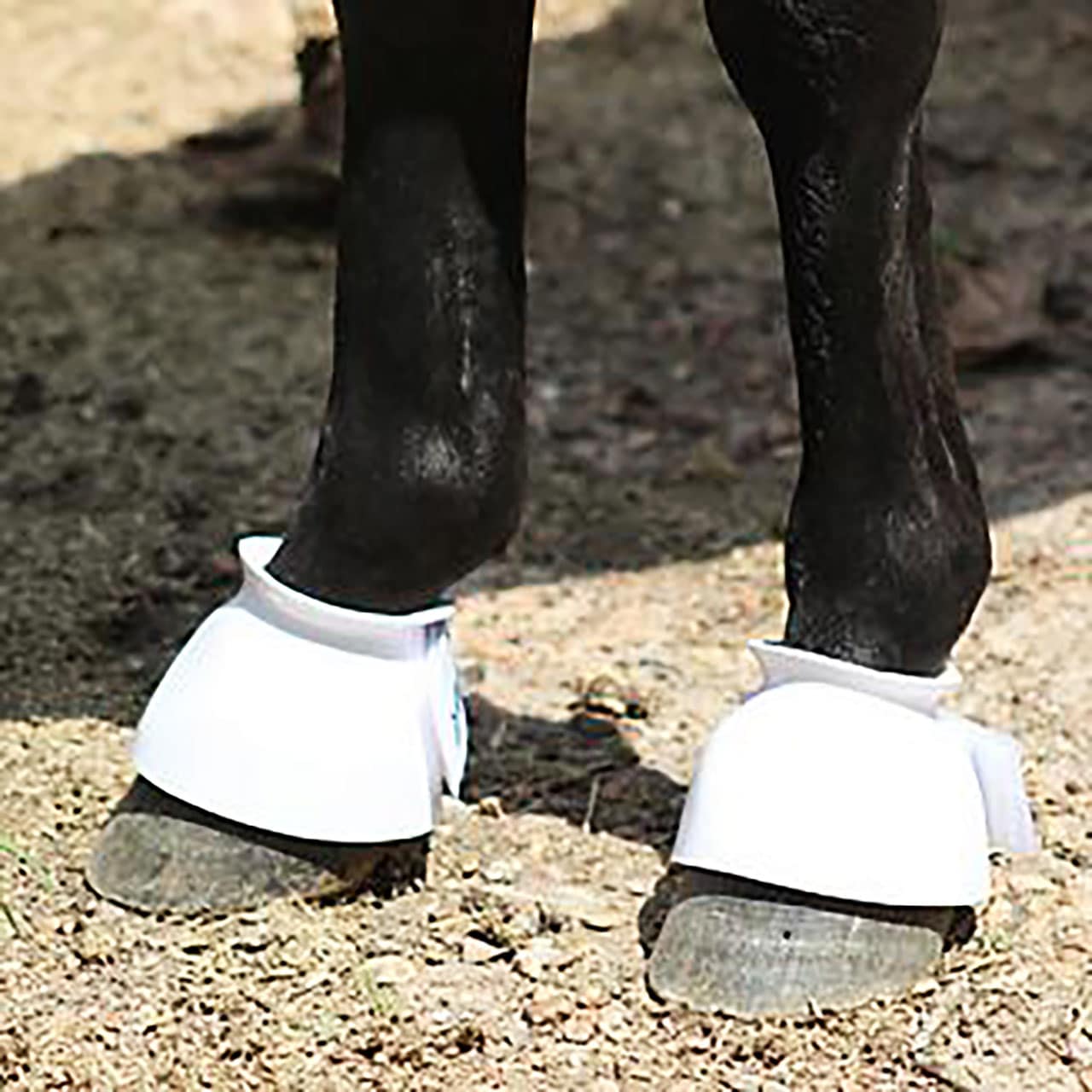 Regular Bell Boots for Horses, DAVIS Plastic
