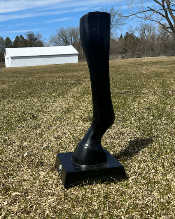 DAVIS Plastic Display Horse Leg front side view.
