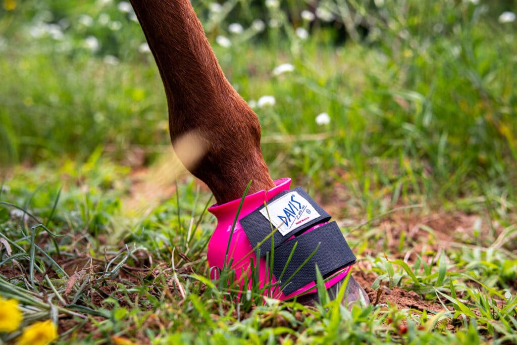 Regular Bell Boots for Horses DAVIS Plastic Brandon WI