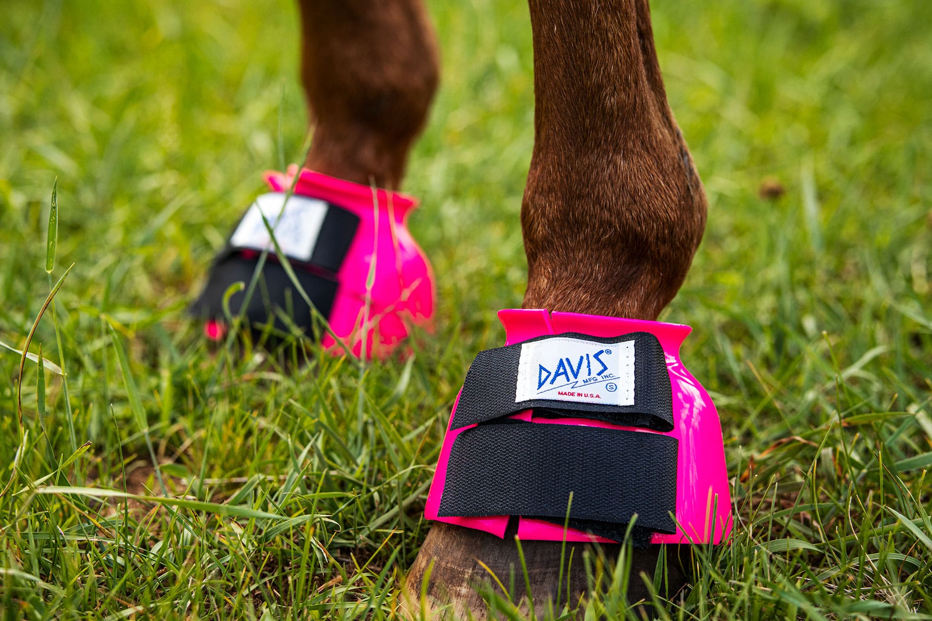 Regular Bell Boots for Horses | DAVIS Plastic | Brandon WI