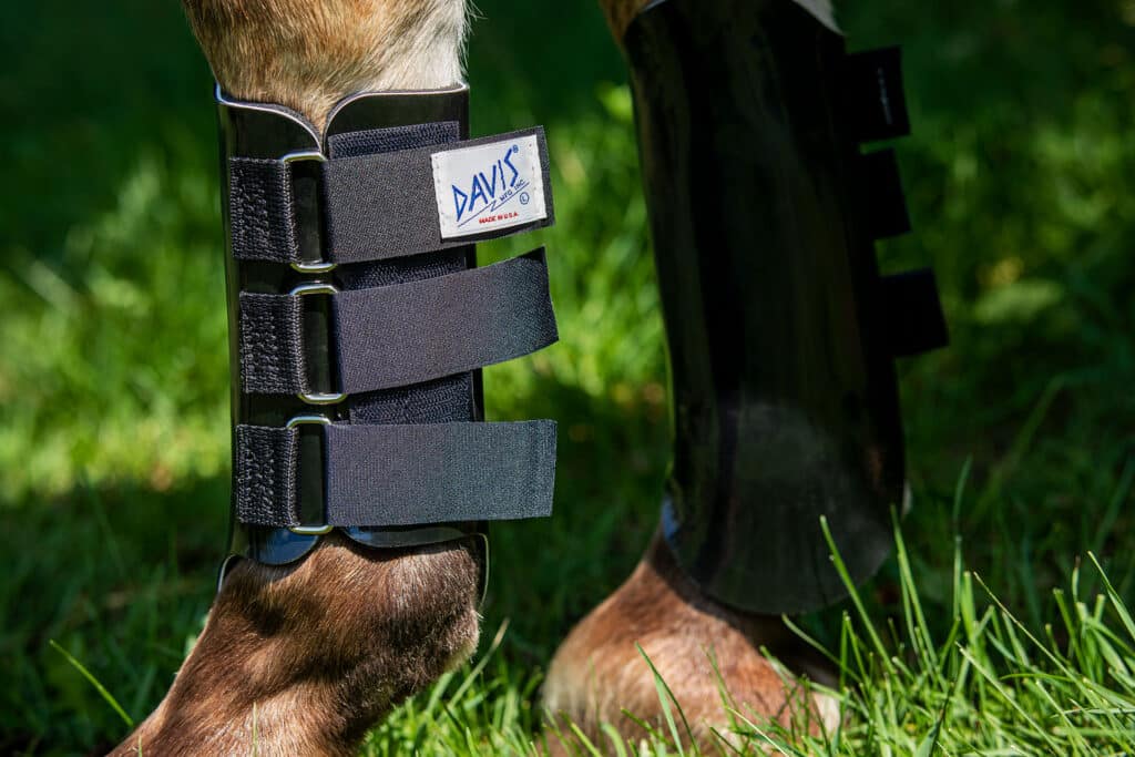 Splint Boots for Horses | DAVIS Plastic | Horse Splint Boots
