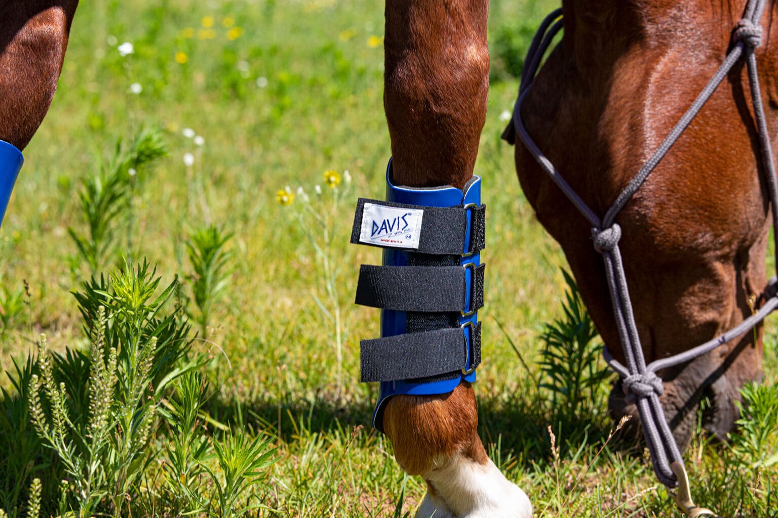 Splint Boots for Horses DAVIS Plastic Horse Splint Boots