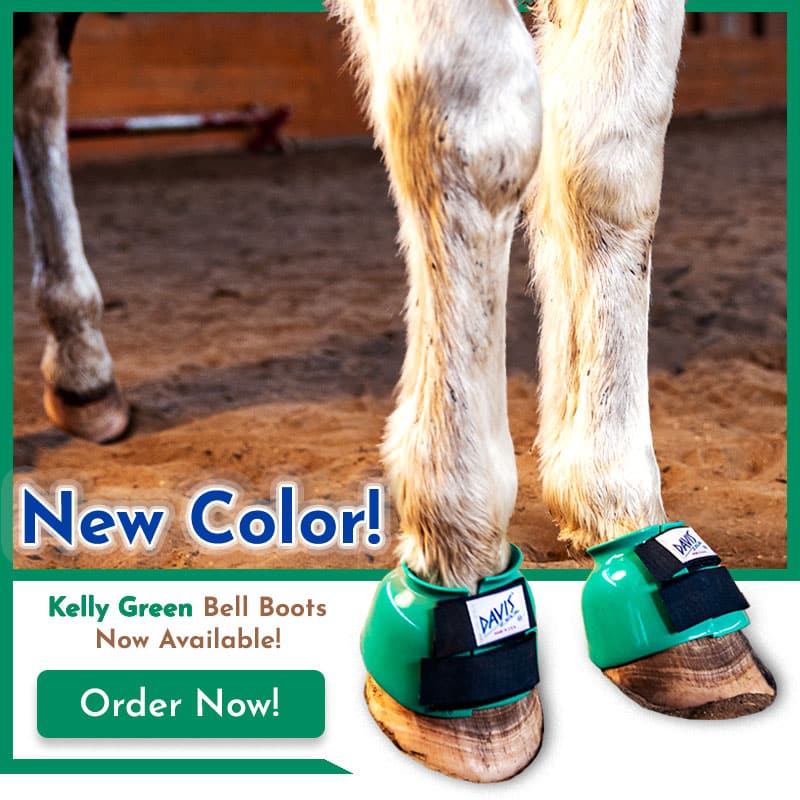 Kelly Green horse Bell Boots for sale.